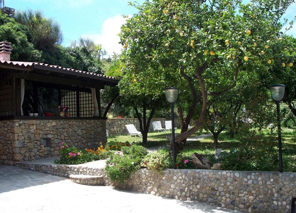 La Tana Del Tasso Ventimiglia Bed & Breakfast Екстериор снимка